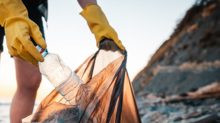 Hacer voluntariado y ampliar tu experiencia