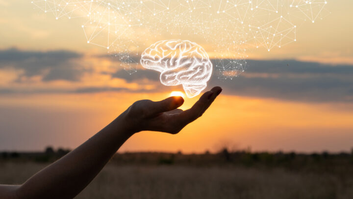 ¿Qué es la inteligencia emocional?