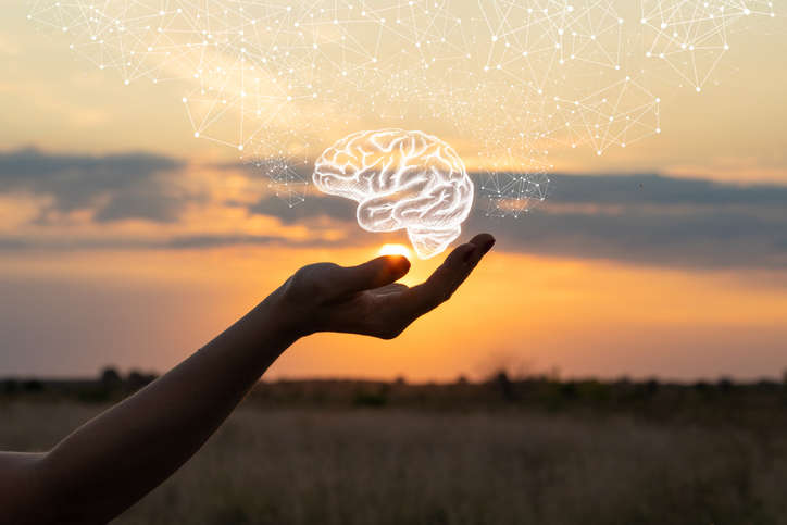 ¿Qué es la inteligencia emocional?