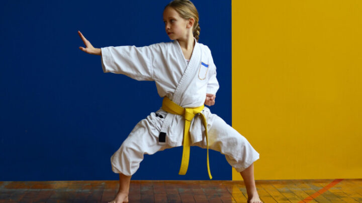 Beneficios de las artes marciales para la educación