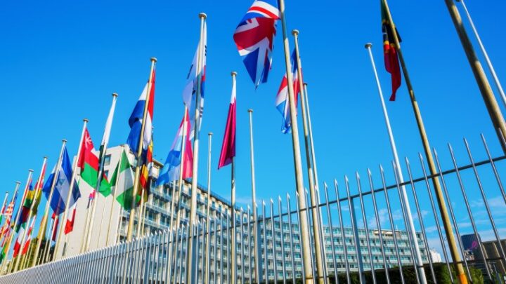 Qué son las cátedras UNESCO del programa UNITWIN