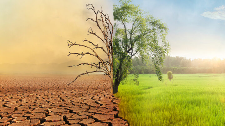 Desafíos para la educación ambiental