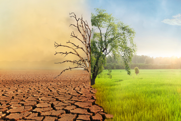 Desafíos para la educación ambiental