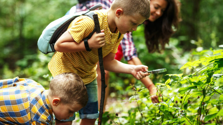 Campamentos de verano educativos en plena naturaleza: una experiencia inolvidable para tus hijos