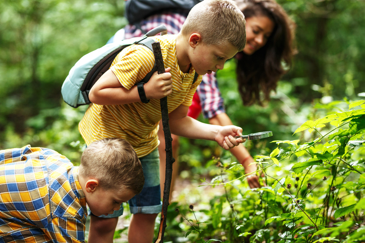 Campamentos de verano educativos en plena naturaleza: una experiencia inolvidable para tus hijos